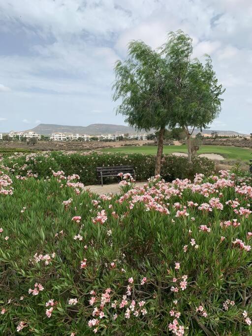 Casa-Zeelandia Hacienda Riquelme Sucina Murcia Lejlighed Eksteriør billede